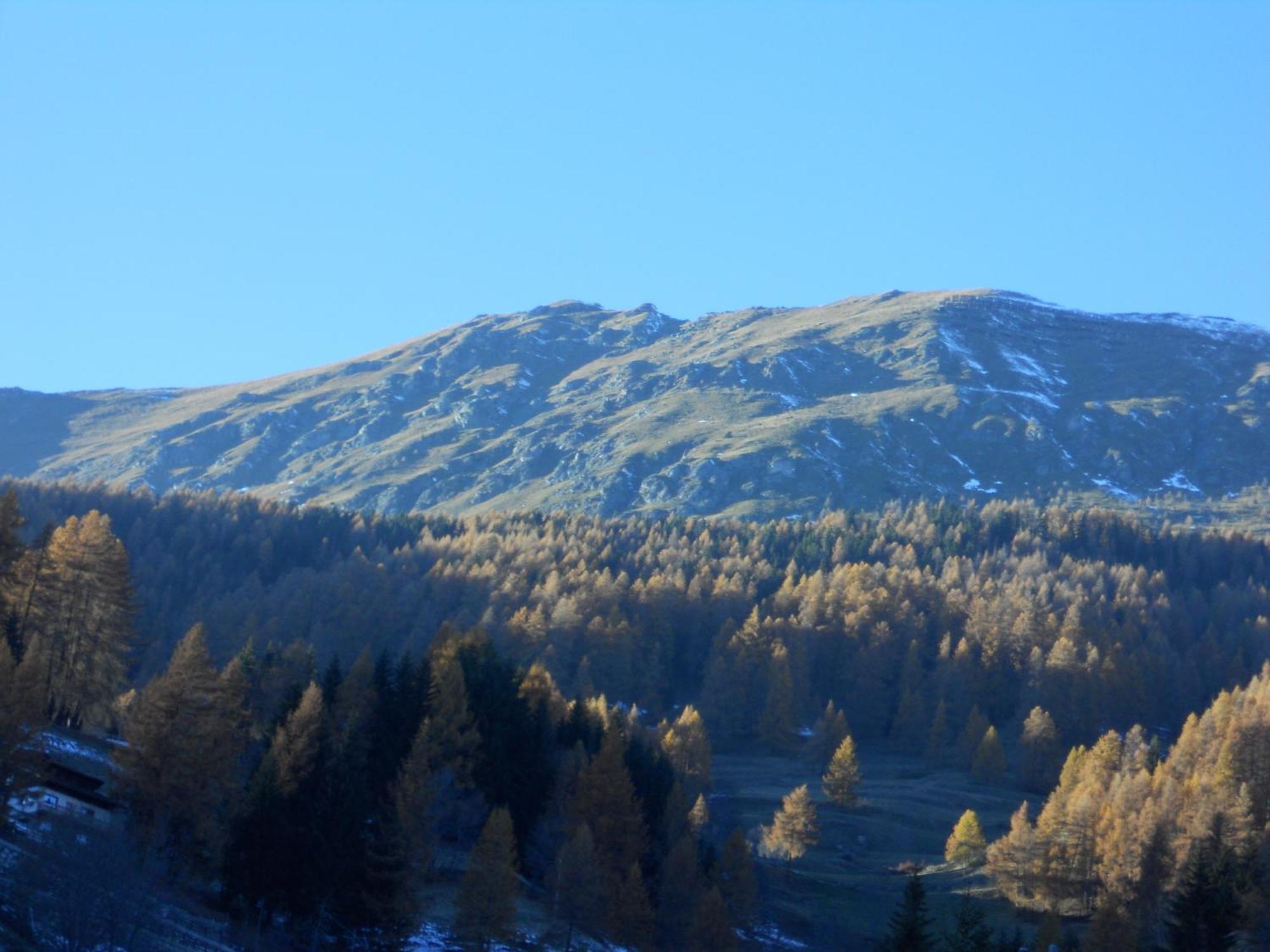Affittacamere Petit Coeur Champoluc Exterior foto