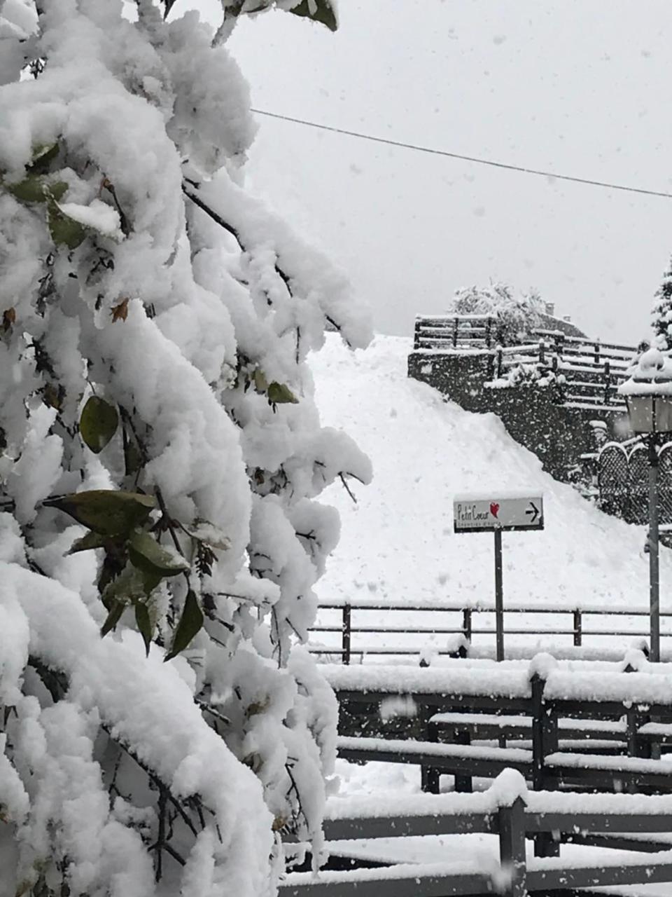 Affittacamere Petit Coeur Champoluc Exterior foto